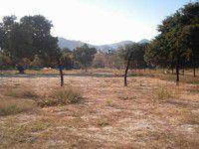 Vecinos denuncian que se venden terrenos de manera ilegal y desde el municipio se comprometieron a ayudar a los damnificados
