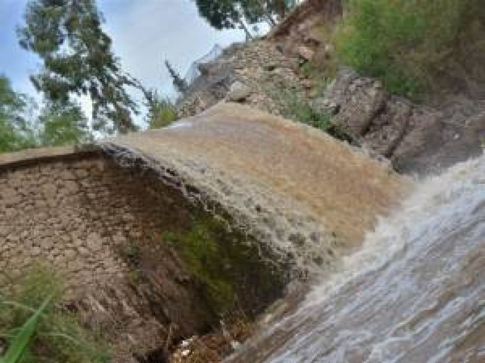 Las lluvias beneficiaron a los departamentos m�s secos