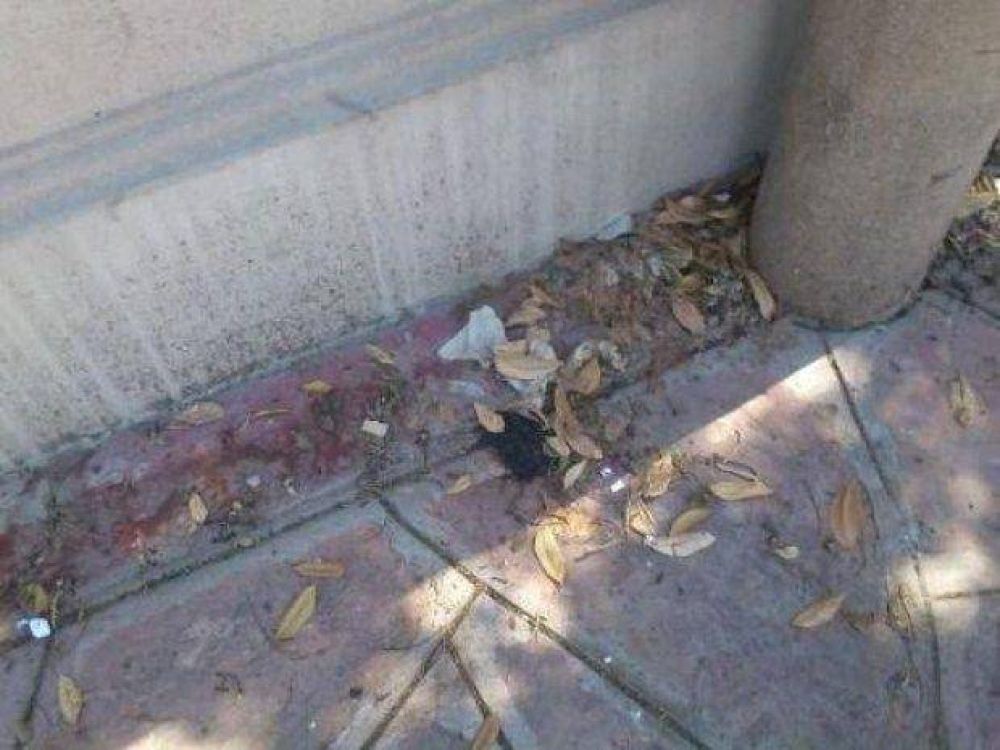 Materia fecal, orina y mal olor