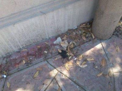 Materia fecal, orina y mal olor