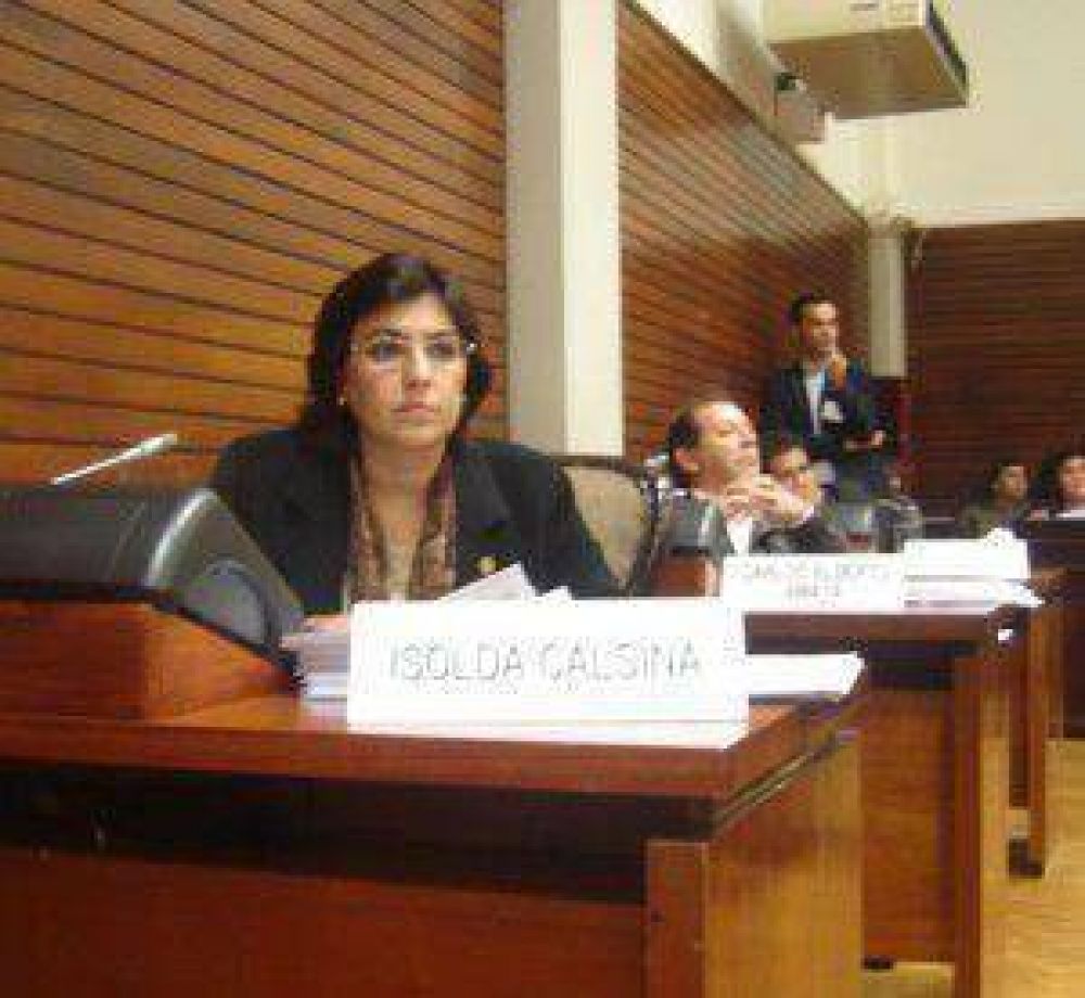 Diputada provincial afirma que el pedido del gobernador Fellner para tratar la coparticipaci�n federal es �ineficaz�
