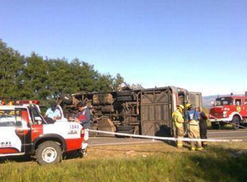 Accidentes de tr�nsito: se vivi� un enero tr�gico en toda la provincia.