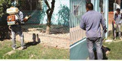 Contin�an las medidas preventivas contra el dengue