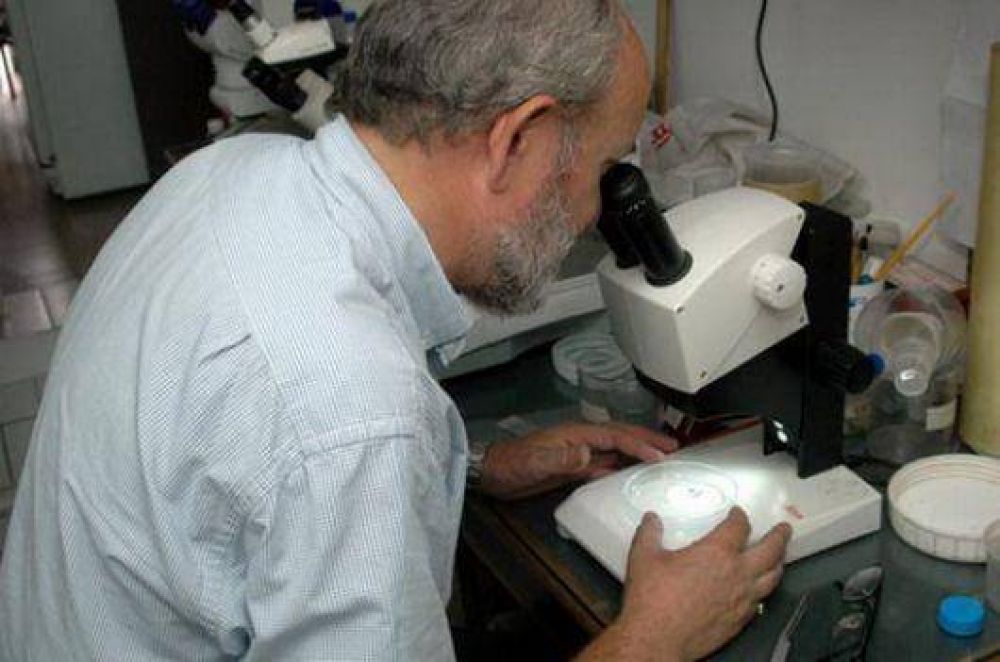 Dengue: reci�n el lunes tendr�n un diagn�stico