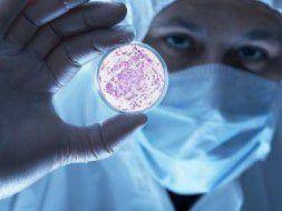 Extra�a enfermedad en el Hospital Carmen de Areco: Las diferencias entre virus y bacteria