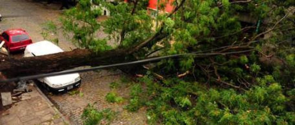 Destrozos tras el temporal en Capital