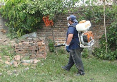 Dengue: Se suman dos casos probables en Villa �ngela y uno en Barranqueras