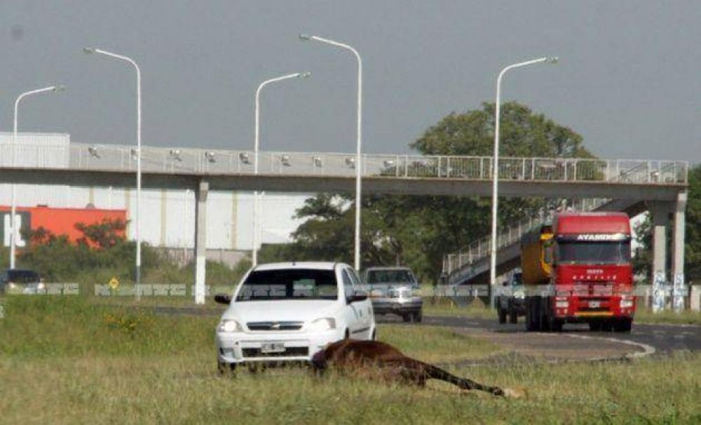La ruta 16, por la obra de la autov�a, un caos