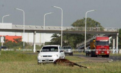La ruta 16, por la obra de la autov�a, un caos