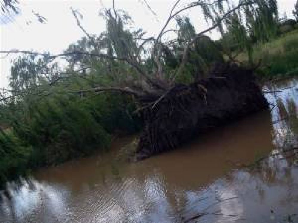 Cortes de servicios, �rboles y antenas ca�das por un fuerte temporal en San Luis