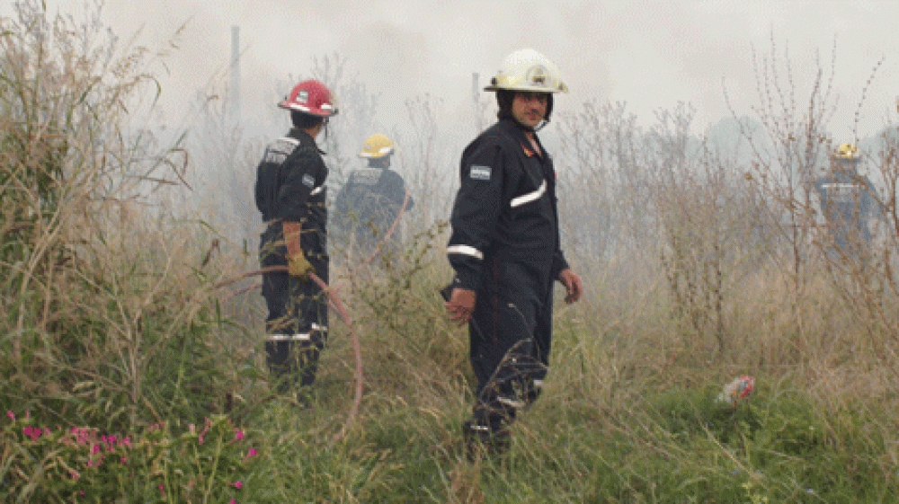 Incendio de grandes proporciones en un terreno bald�o 