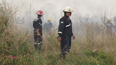 Incendio de grandes proporciones en un terreno bald�o 