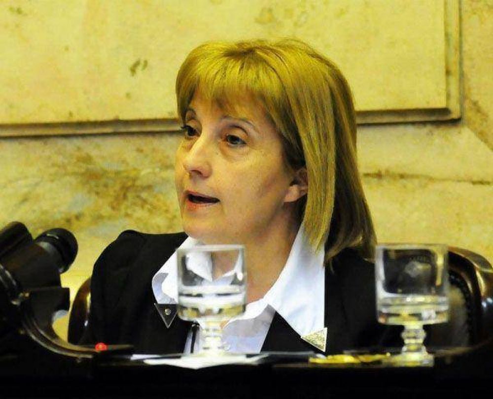 �Chispita� Fadul encabeza las intervenciones de los diputados fueguinos en el Congreso