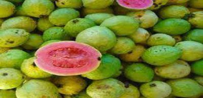 Destacan las bondades de las frutas aut�ctonas