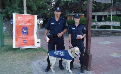 Apareci� en Sierra de la Ventana, un perro detector de drogas que se hab�a extraviado
