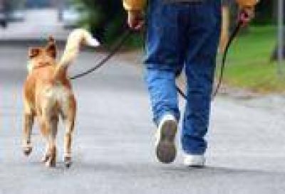 La Plata: Multar�n a quienes no recojan las heces de sus mascotas en la v�a p�blica