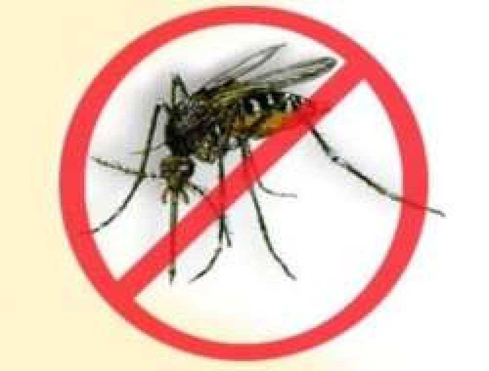 Aseguran que no se registraron nuevos casos de dengue en el Chaco	