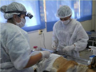 Este s�bado el quir�fano m�vil estar� en Barrio Sur