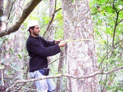 Abren convocatoria para conservaci�n de bosques