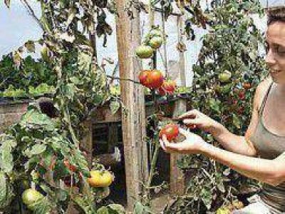La Plata: Nueva edici�n de la Fiesta del Tomate