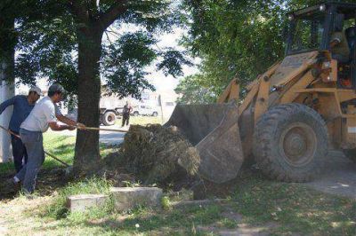 Se realizaron tareas de limpieza en el �Parque Lasa�
