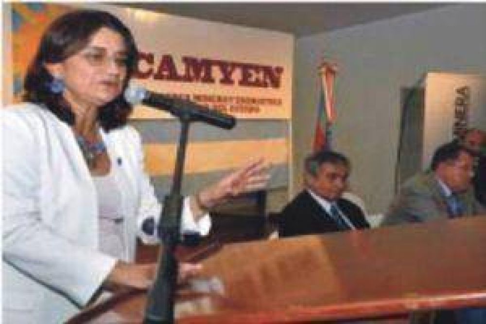 Grupo inversor interesado en explorar minerales tinogaste�os