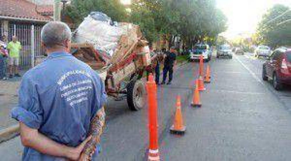 Verifican que los caballos de carga est�n saludables