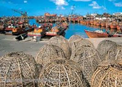 Afirman que �la realidad del puerto es muy mala�
