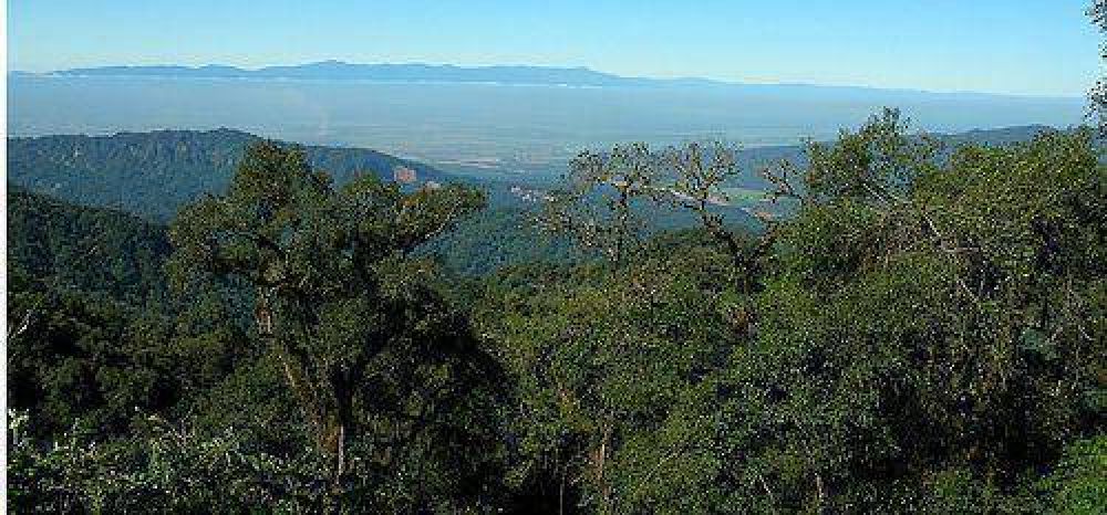 Jujuy: abrieron convocatoria para proyectos de conservaci�n y manejo de bosques nativos