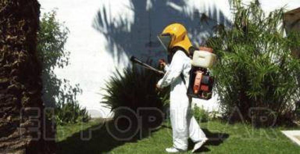 Encontraron mosquitos adultos de Aedes aegypti en el barrio Luj�n