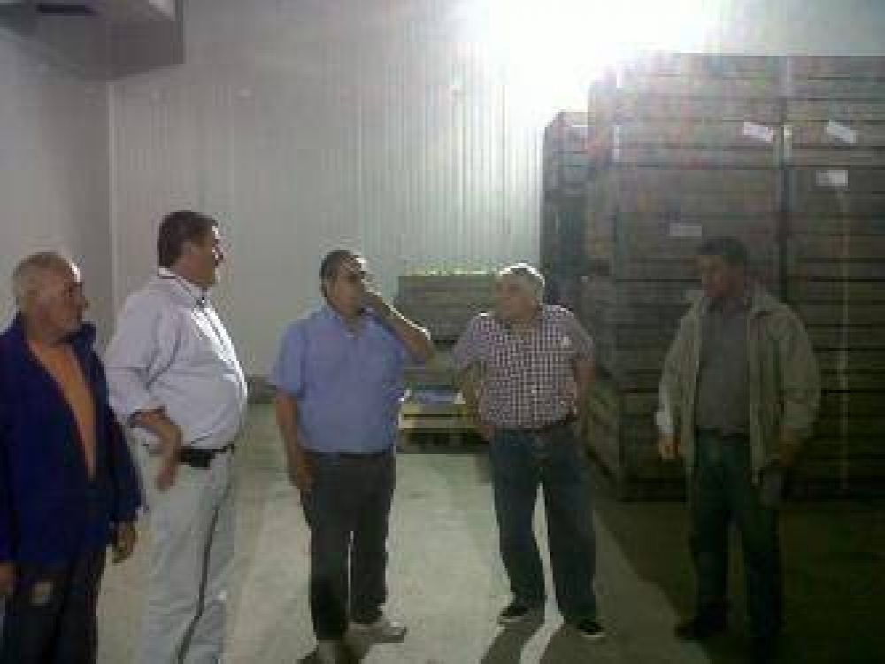 Funciona a pleno la nueva c�mara de fr�o de El Juncal