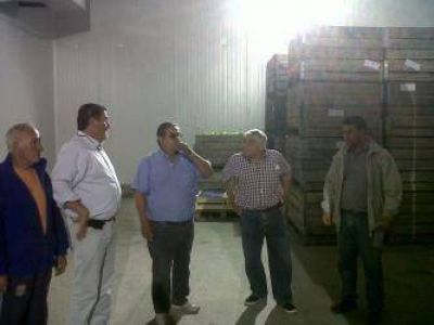 Funciona a pleno la nueva c�mara de fr�o de El Juncal