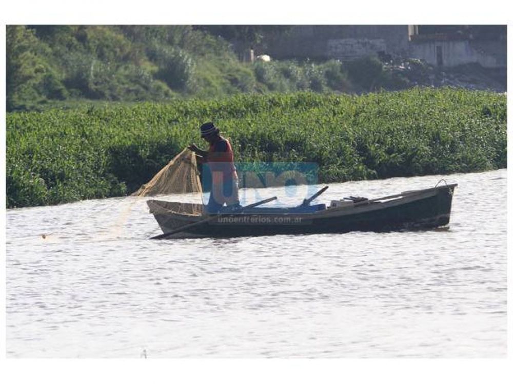 Hay preocupaci�n porque es escasa la pesca en la ribera del Paran�