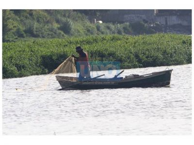 Hay preocupaci�n porque es escasa la pesca en la ribera del Paran�