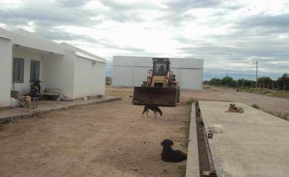 El vertedero regional de basura no funciona y se convirti� en dep�sito de perros