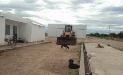 El vertedero regional de basura no funciona y se convirti� en dep�sito de perros