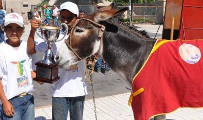 Carnaval y Rally de Burros en Los Molinos Chimichurri competir� en el Rally