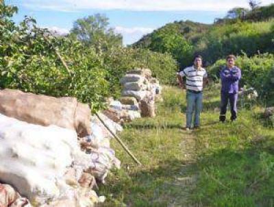 Analizan un futuro venturoso para la producci�n y venta de membrillo