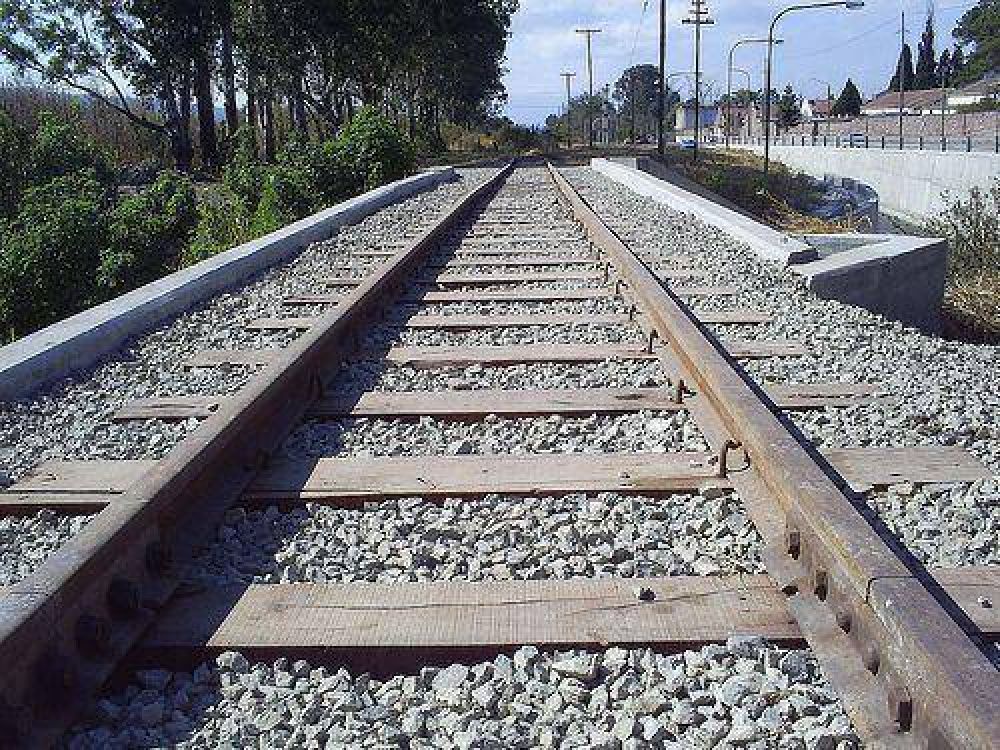 Reactivaci�n del Belgrano Cargas es un anuncio electoralista si no se restituye financiamiento a los trenes