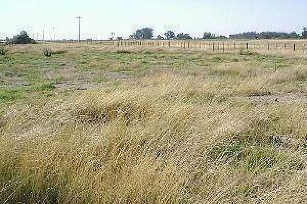 Denuncian a firma porte�a y escribano local por apropiaci�n de un campo 1.300 ha