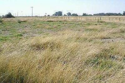 Denuncian a firma porte�a y escribano local por apropiaci�n de un campo 1.300 ha