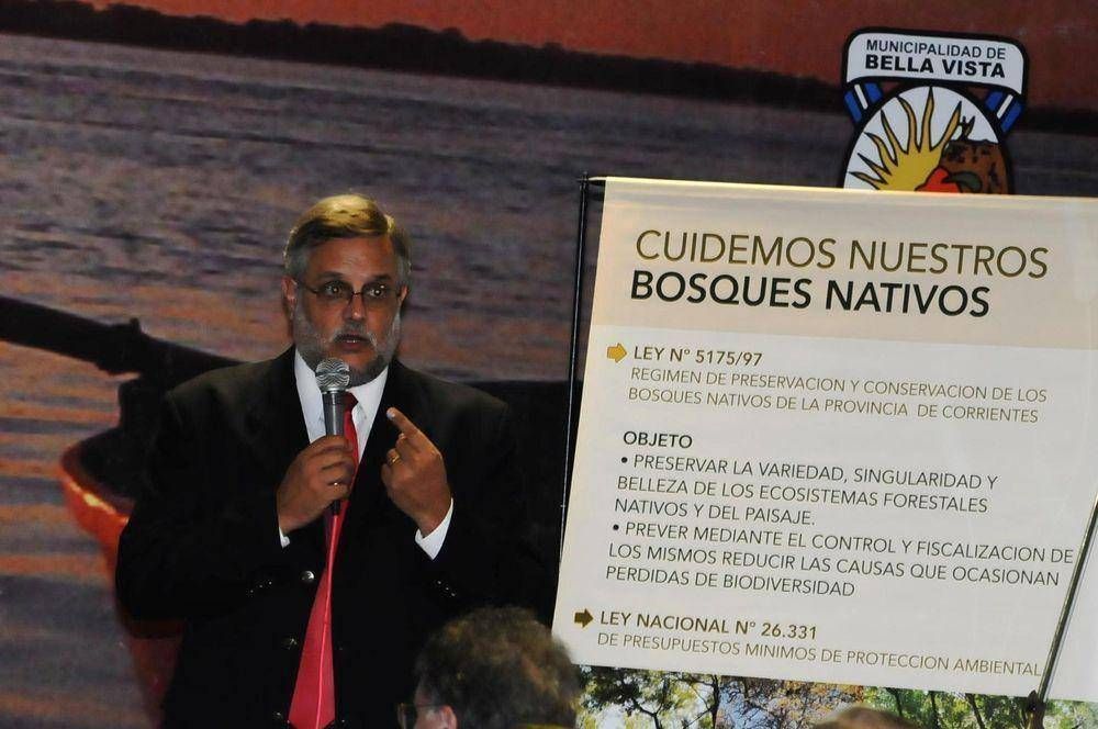 Corrientes gestiona $9 millones adeudados por Naci�n para proyectos forestales