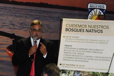 Corrientes gestiona $9 millones adeudados por Naci�n para proyectos forestales