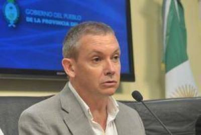 Pedrini aclar� que no quiso acusar a Vallejos de narcotraficante, sino de habilitar prost�bulos