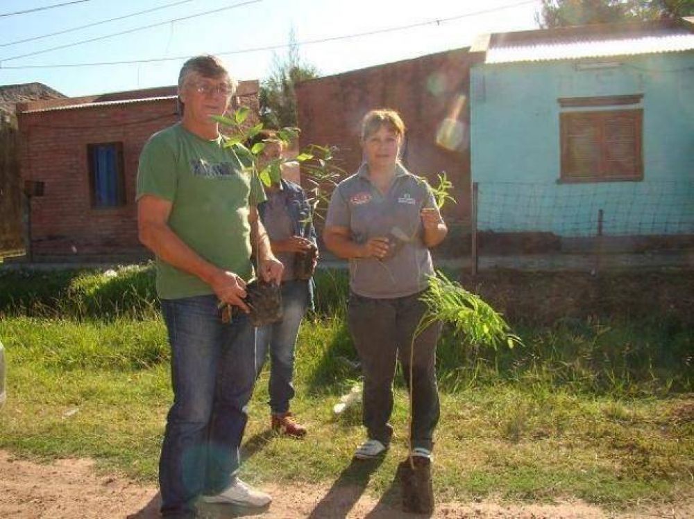 Centro de Promoci�n Ambiental realiza forestaci�n del barrio Escalada