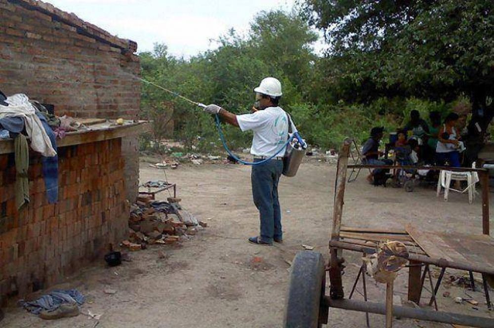 Dengue: de 13 casos probables, nueve fueron descartados
