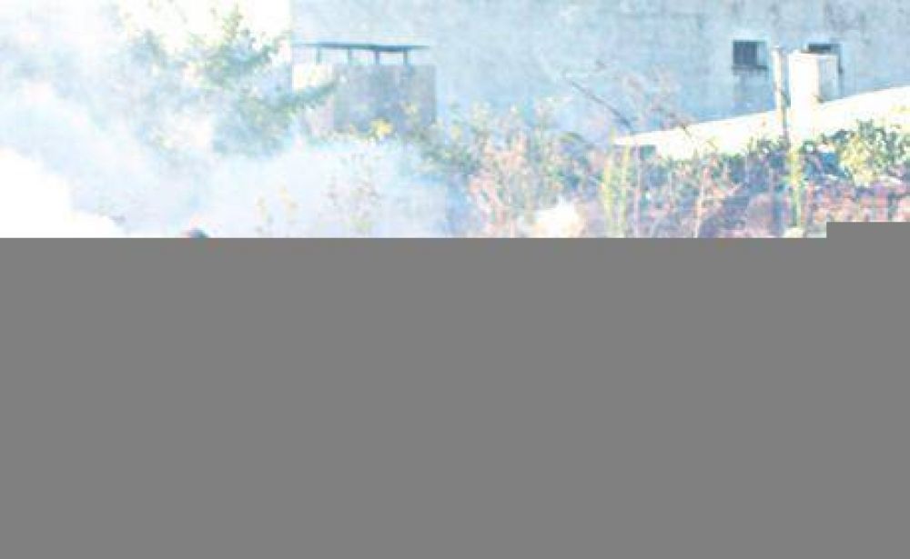 Encontraron mosquitos del dengue en el barrio Luj�n e intensifican la fumigaci�n