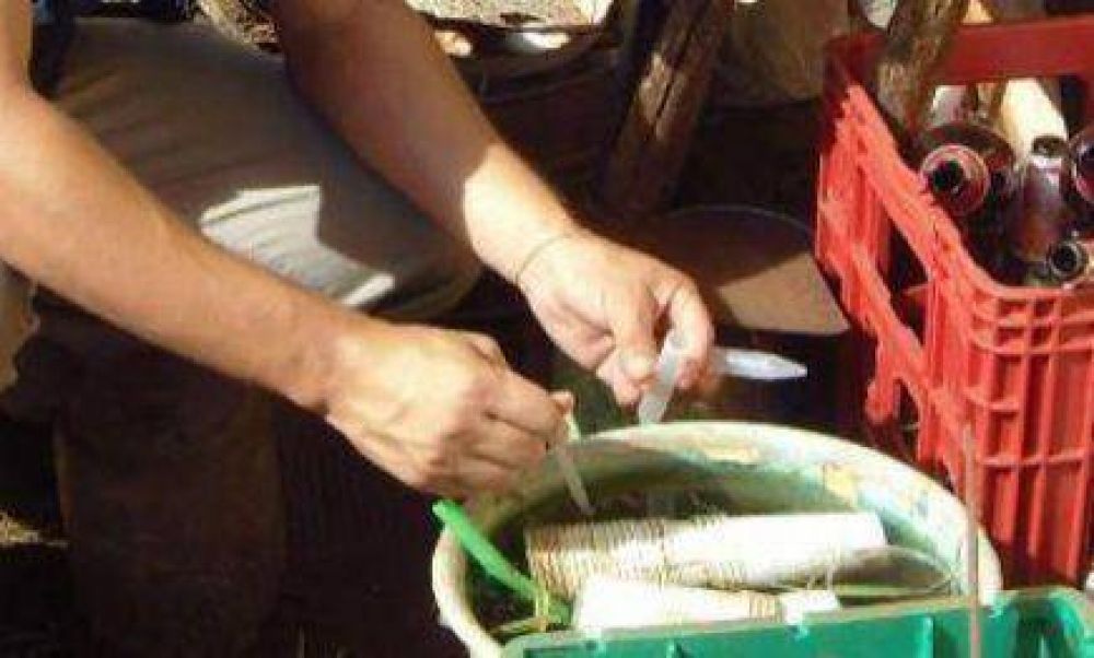 Funcionario de Naci�n evaluar� operativos anti dengue en Misiones