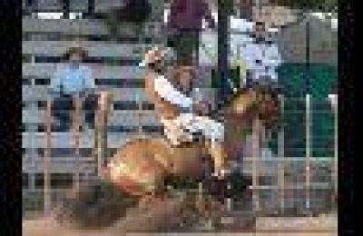 Los caballos criollos, en instancias decisivas en el predio ferial