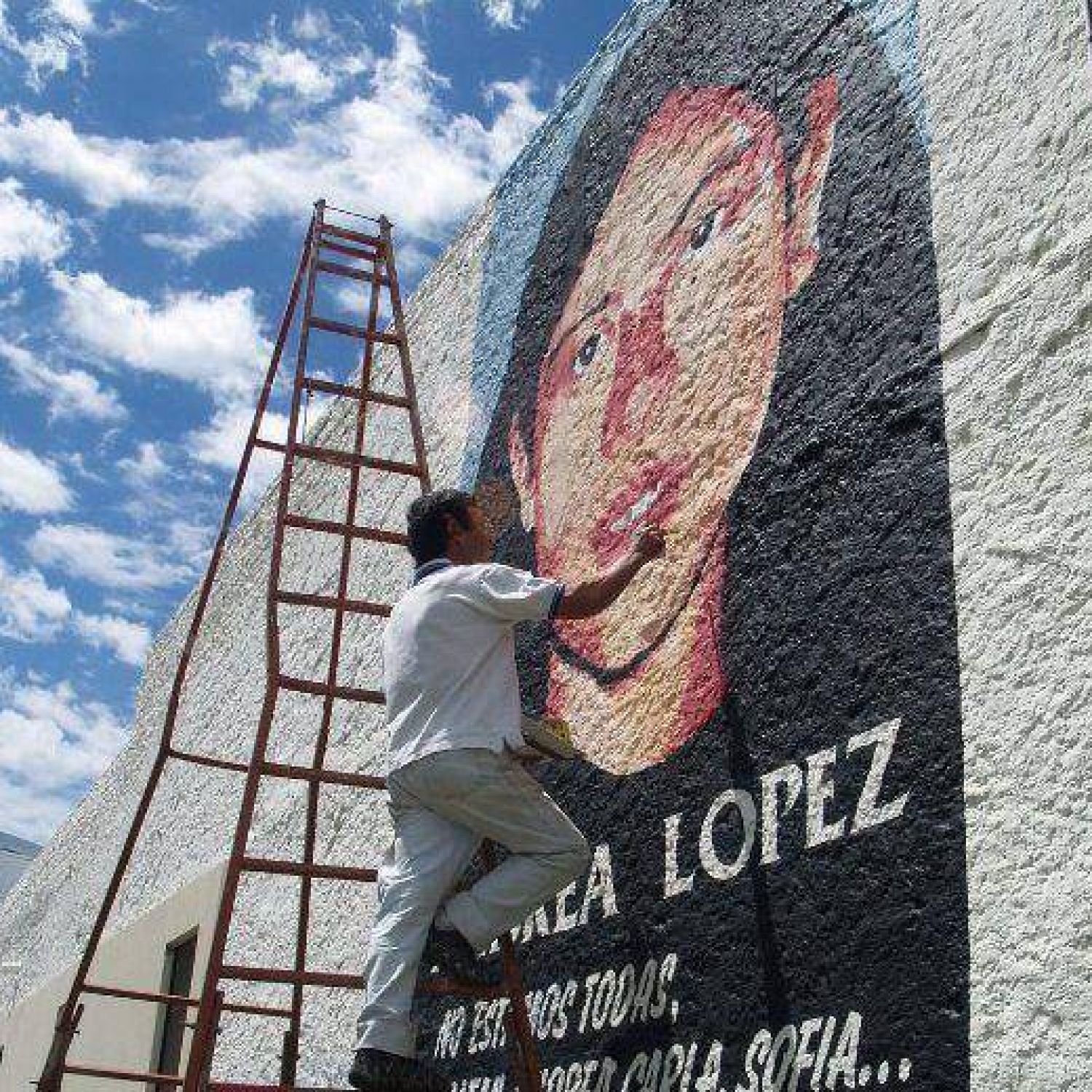 The Andrea Lopez V. X Phenomenon - pethtrk